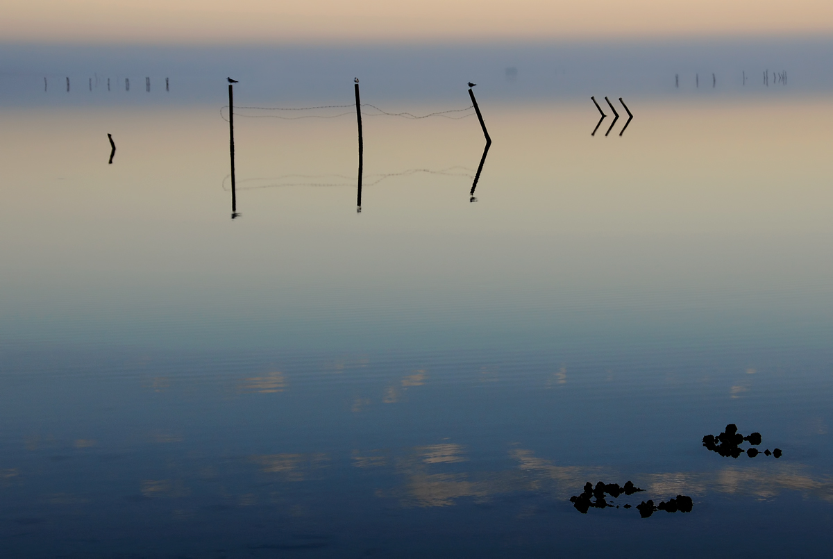 Foggy Morning