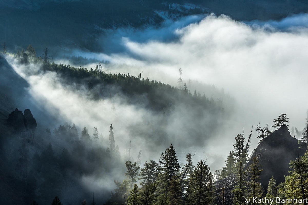 Tower Fog