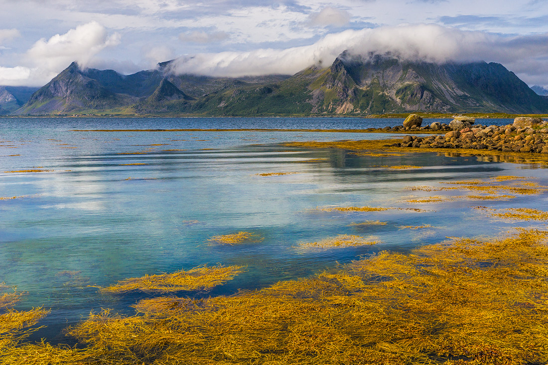In the Arctic circle