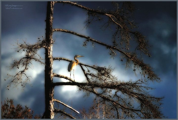 'Before the Storm'