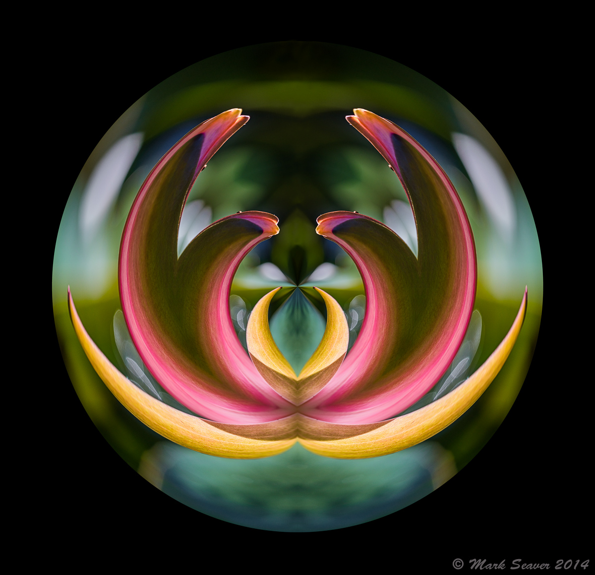 Glowing Curves