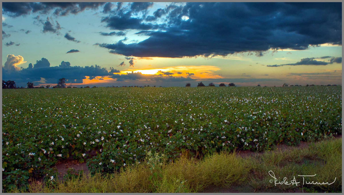 Somewhere in Texas