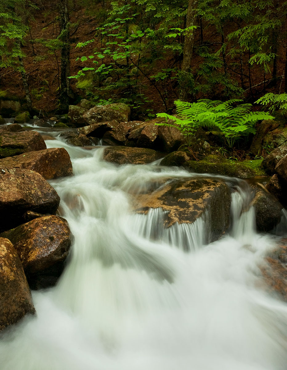 Jordon Pond Stream