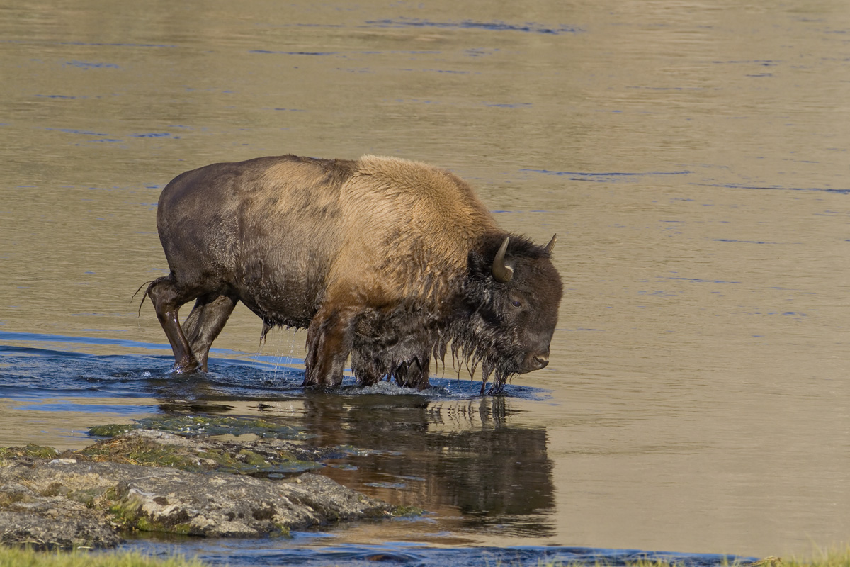 River Crossing