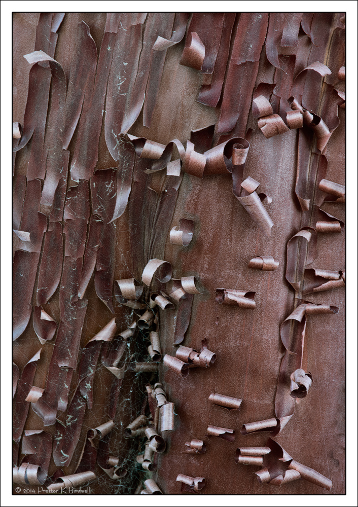 A Peeling #2 + rp