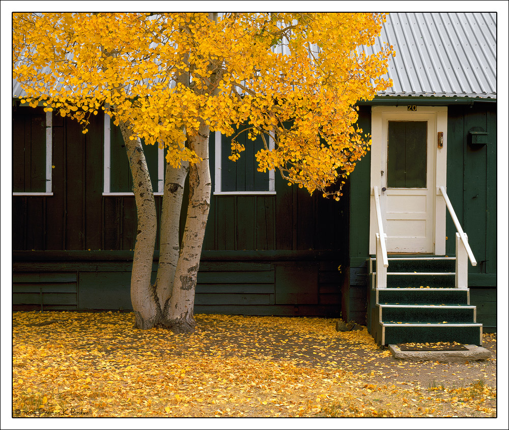 Cabin #20