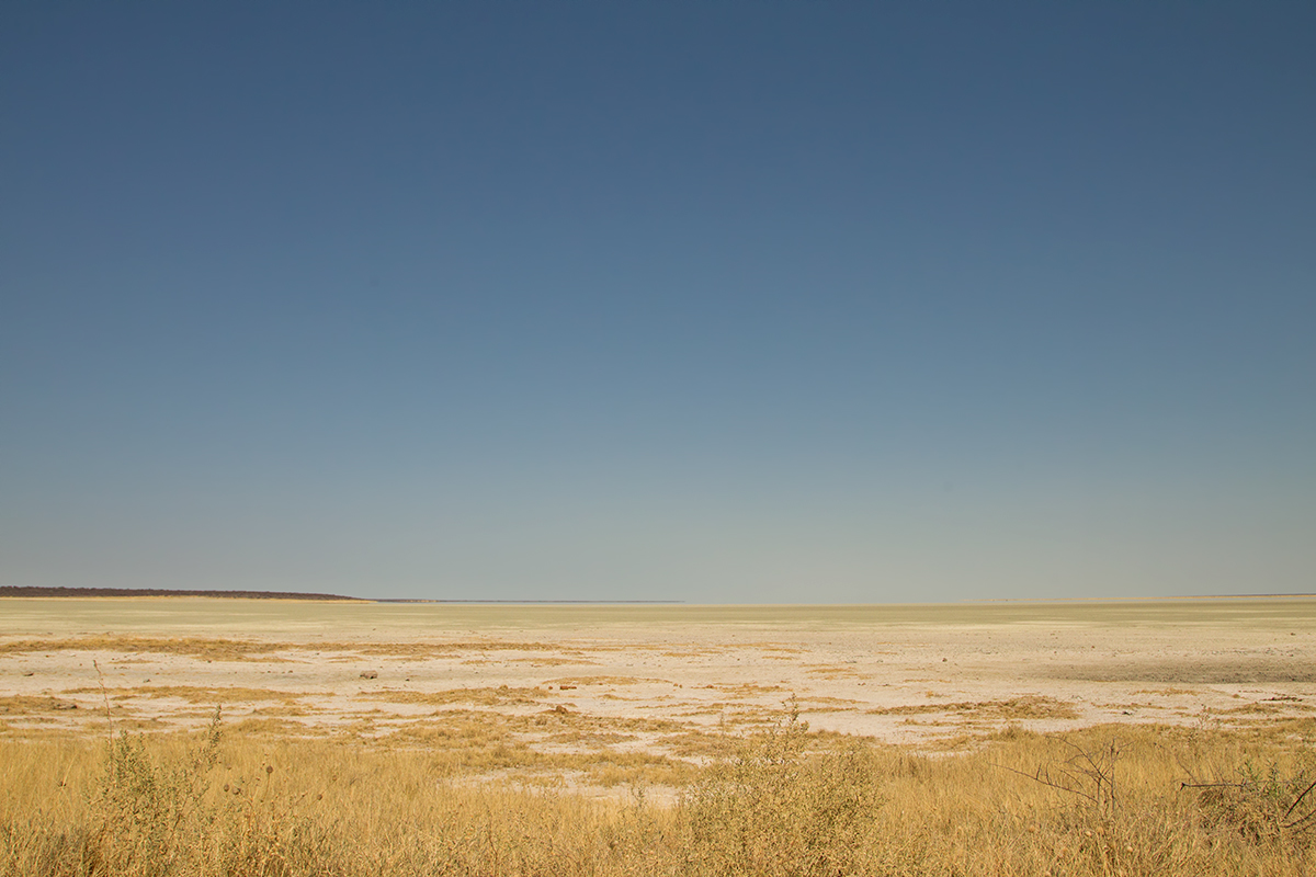 Nowhere 2