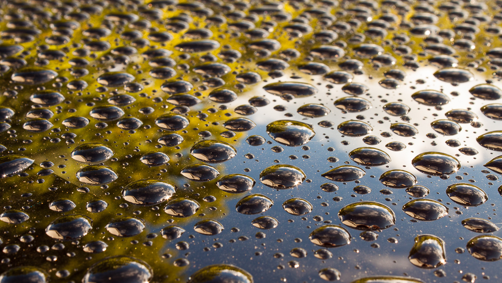Raindrops & Reflections