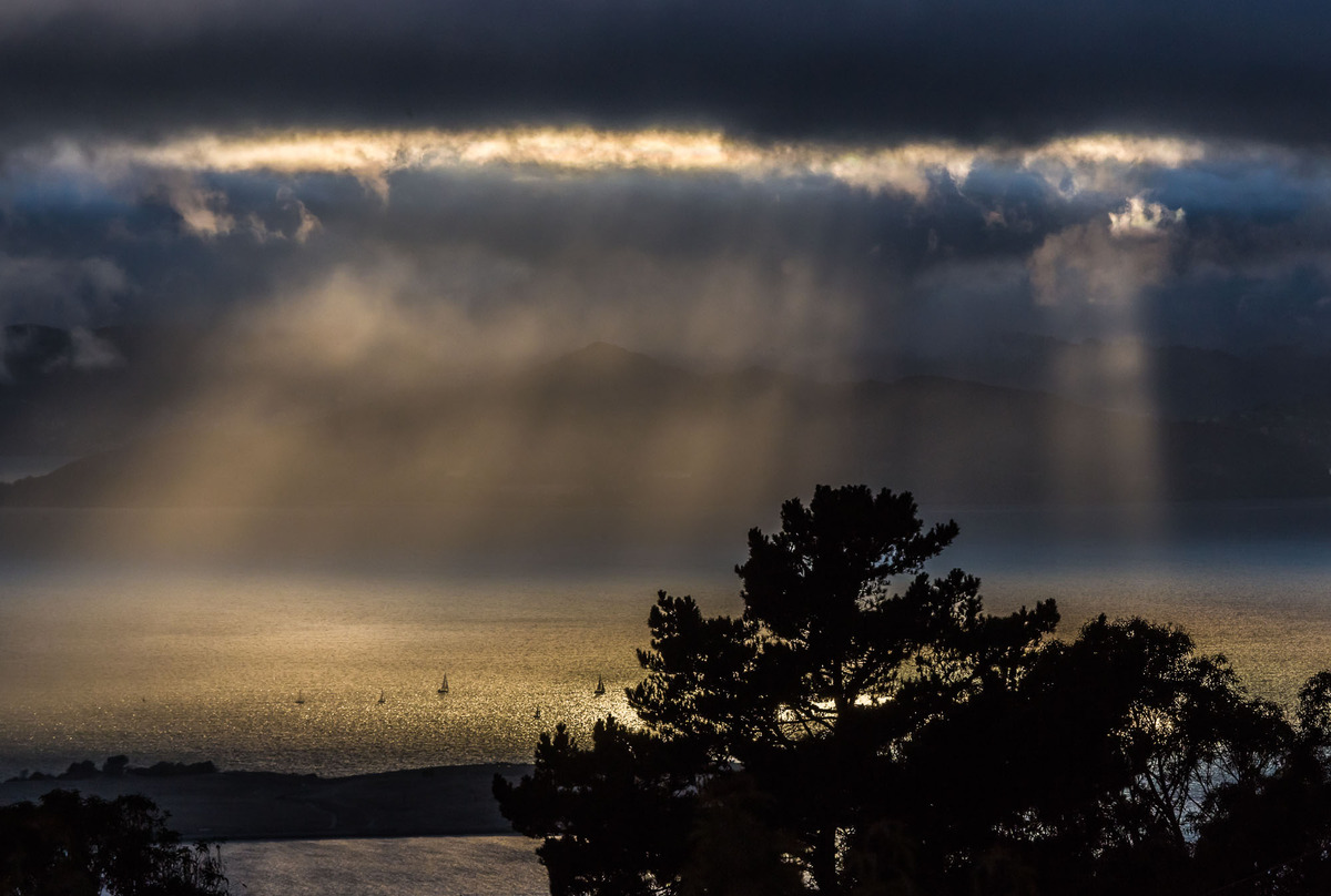 Spotlight on the Bay