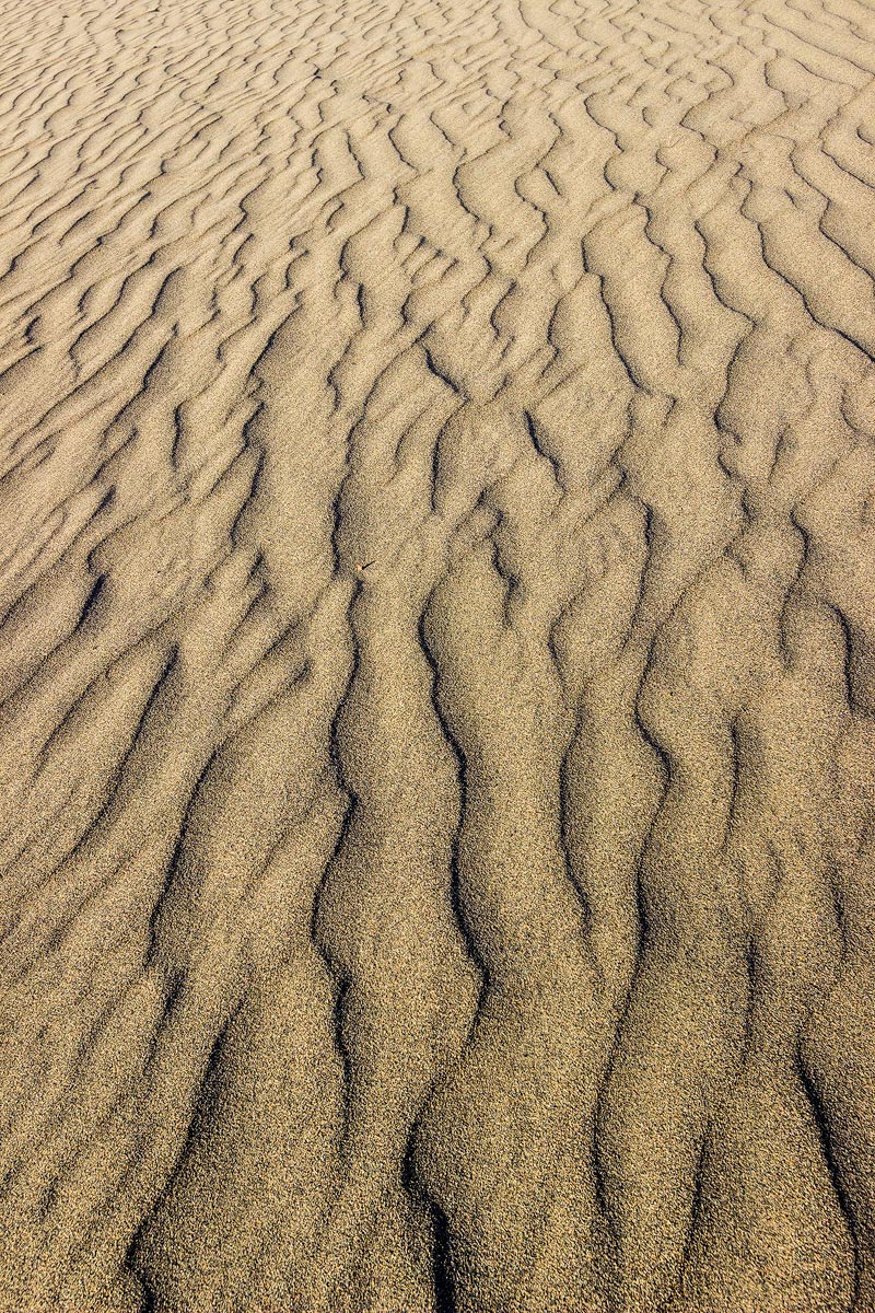 Dune with pebble.