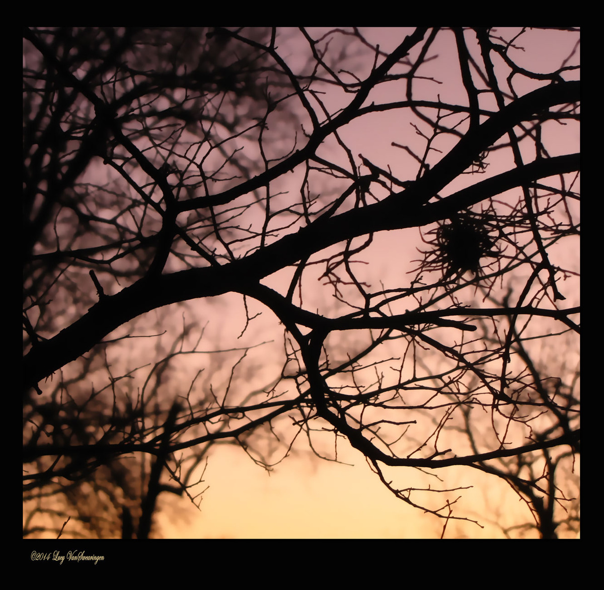 Last Light