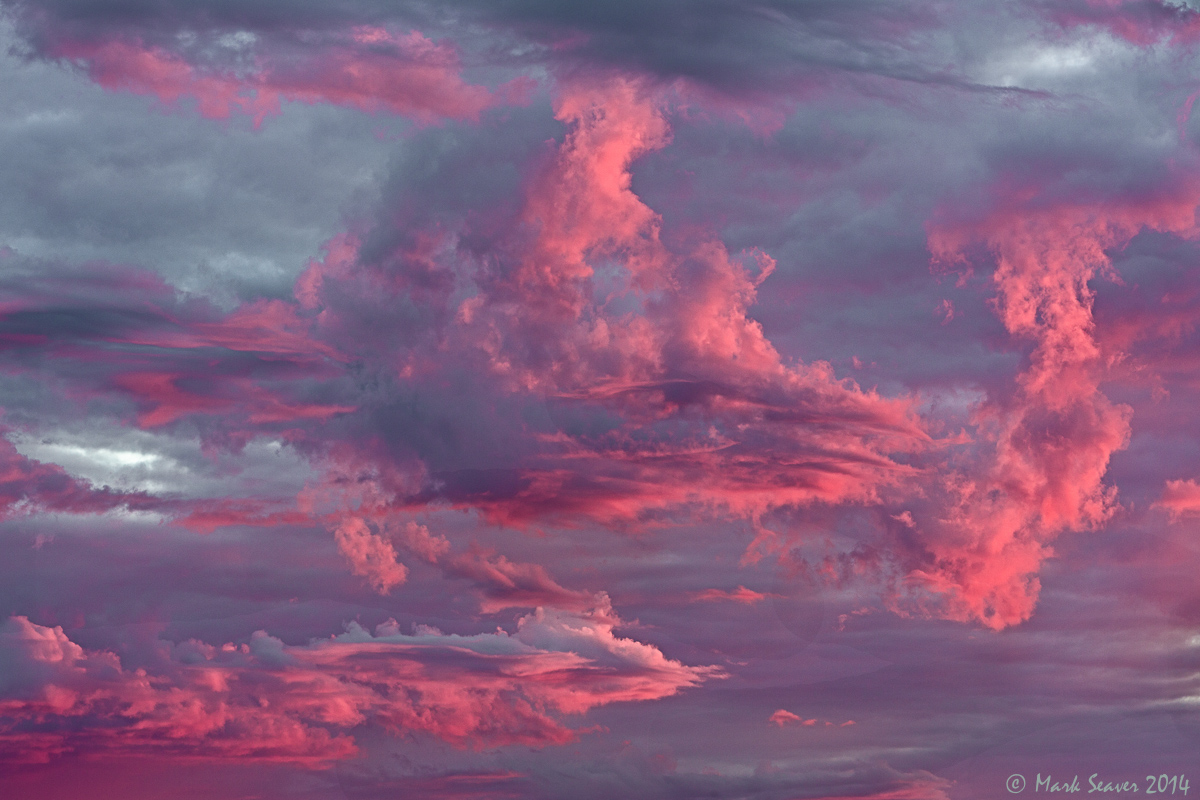 Dayglow Daybreak
