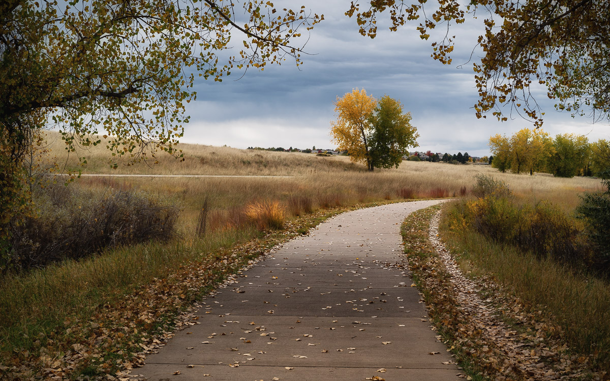 Autumn Stroll