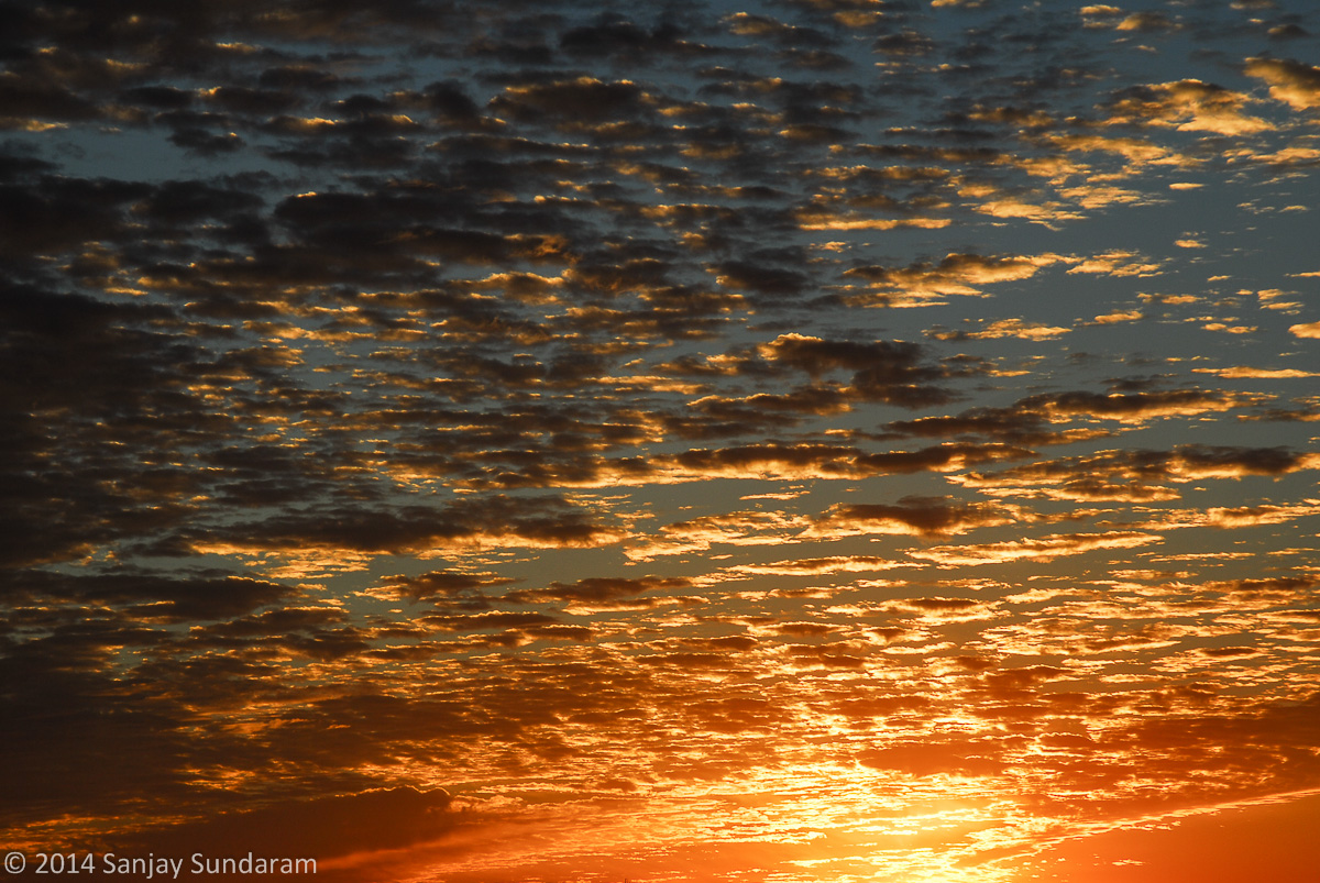 Austin Sunrise WC #656
