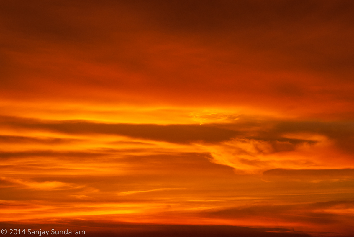 Austin Sunrise 2 WC#656