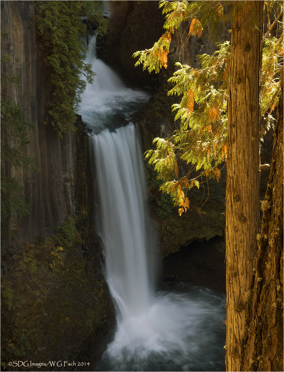 Toketee Fall(s)