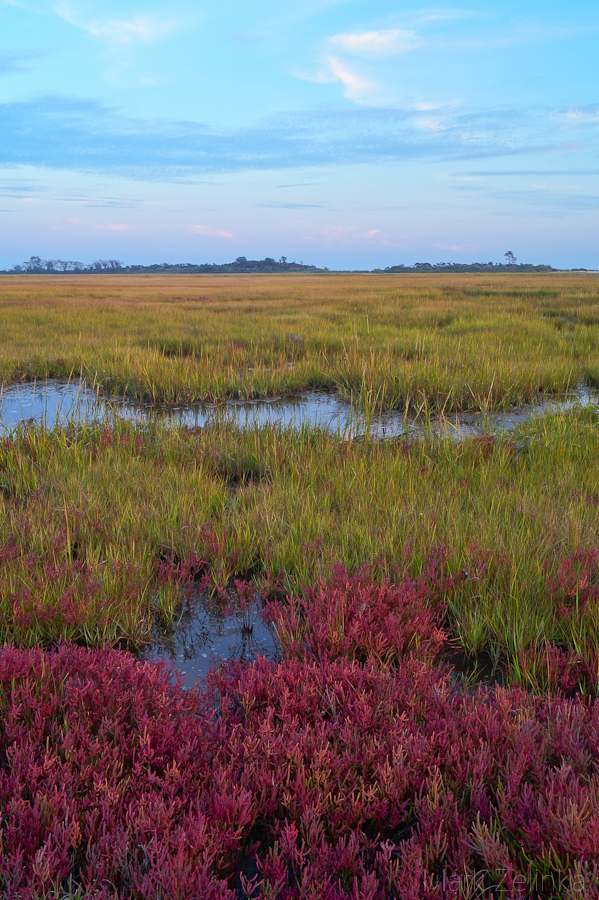 Marsh Fall