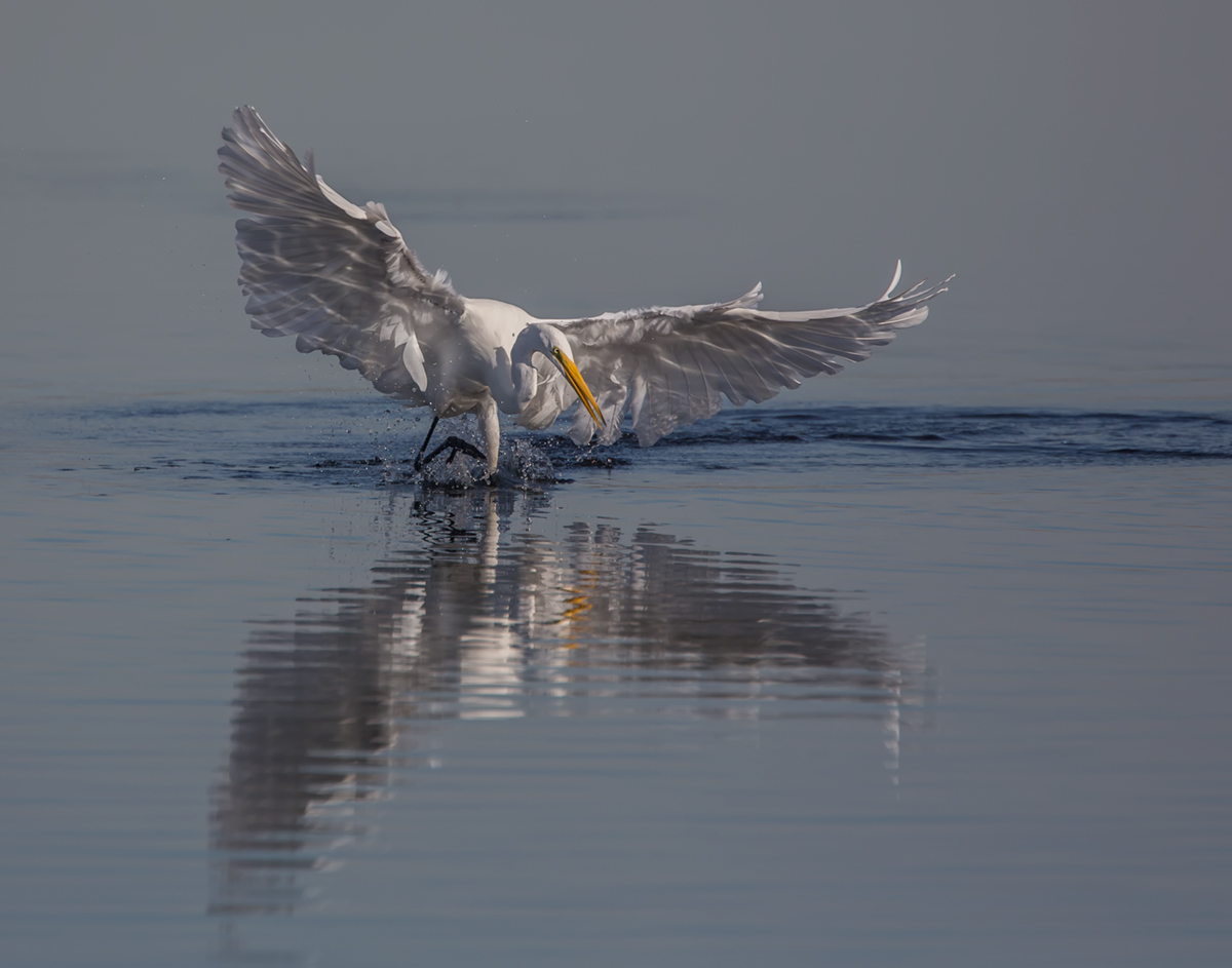 Fishing at Bolsa Chica