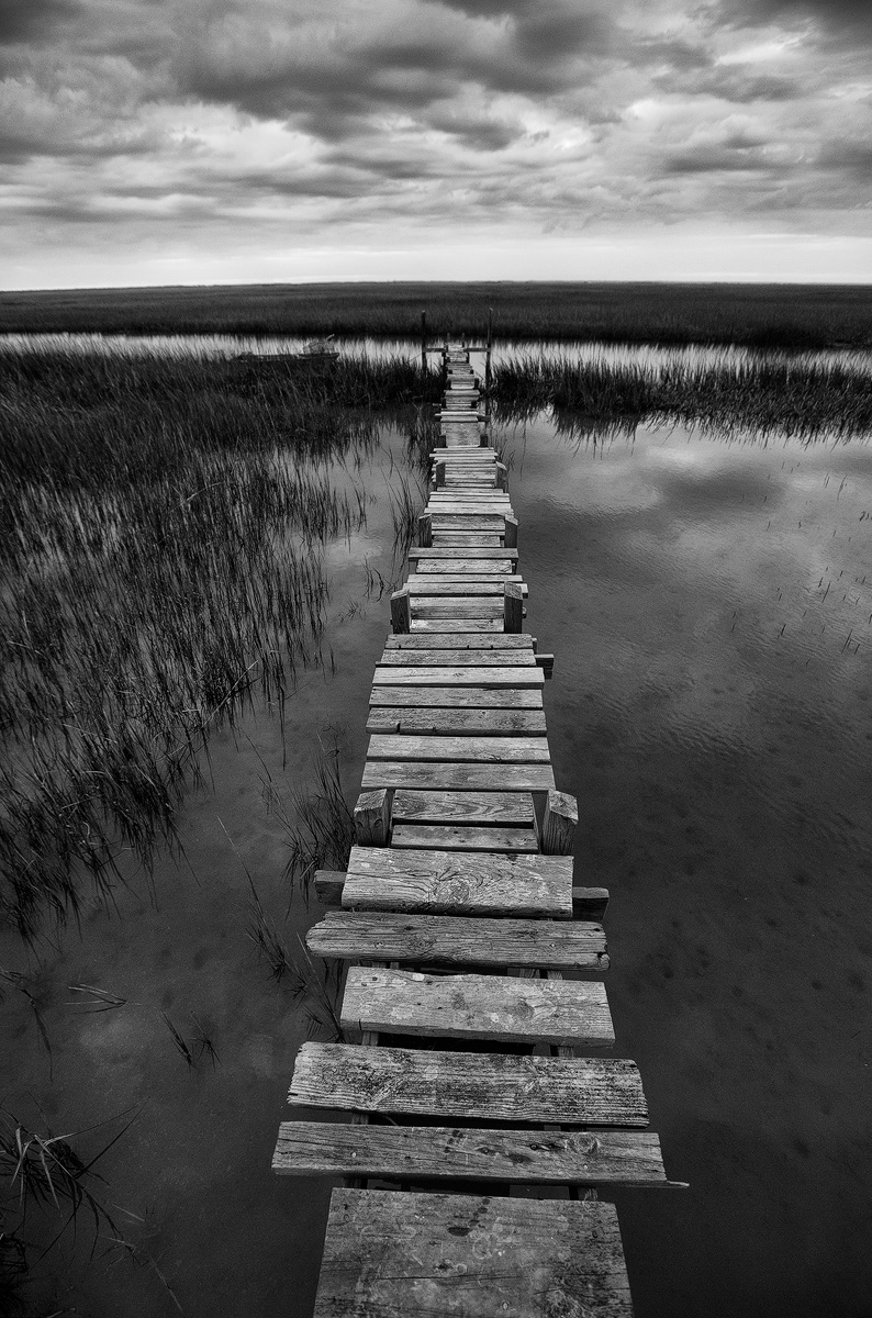 Marsh Path