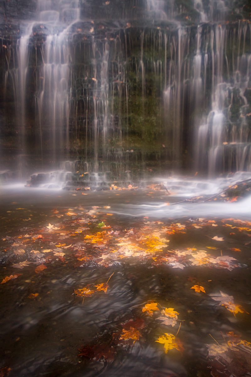 Fall at the Falls