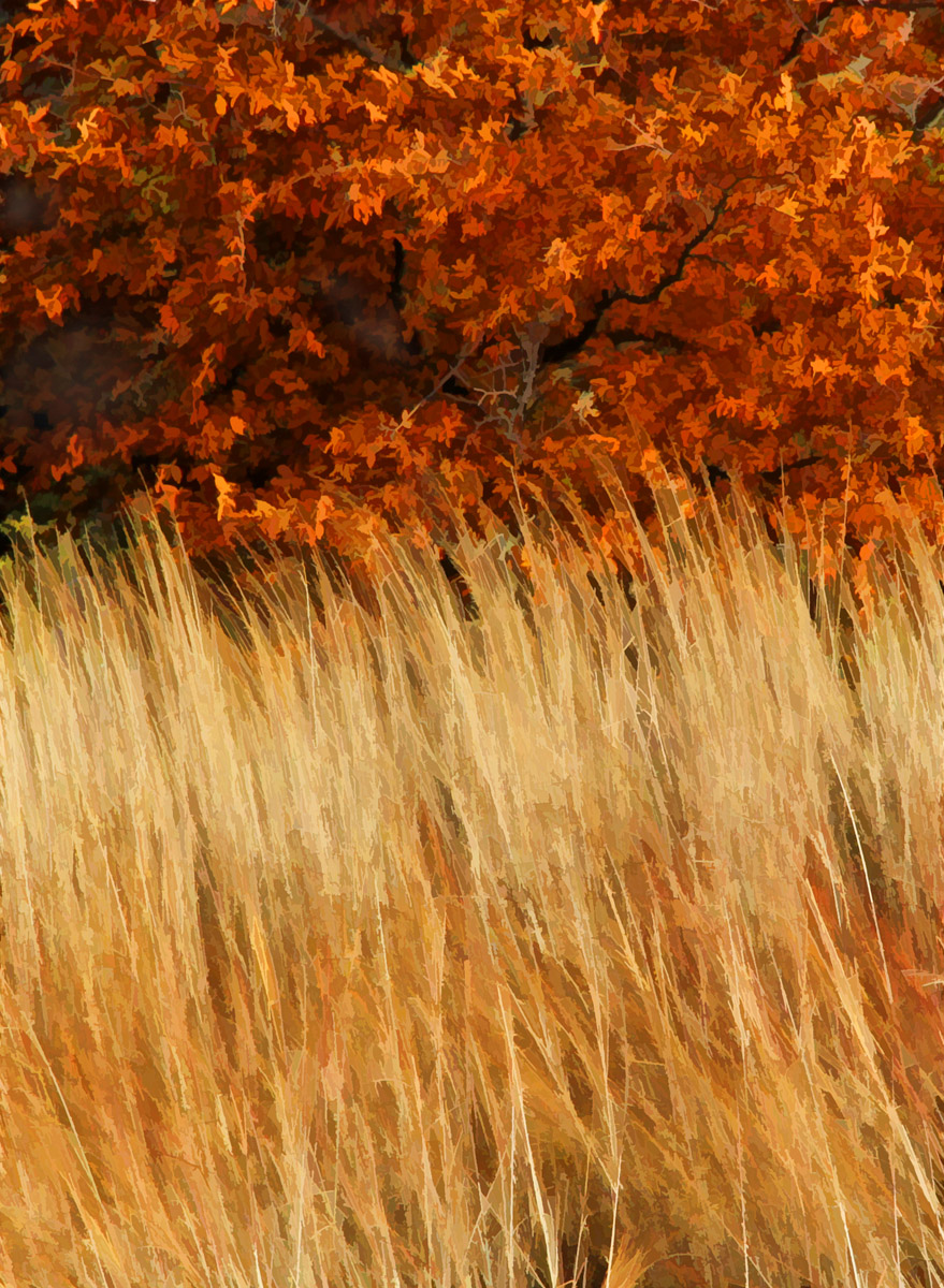 Autumn
