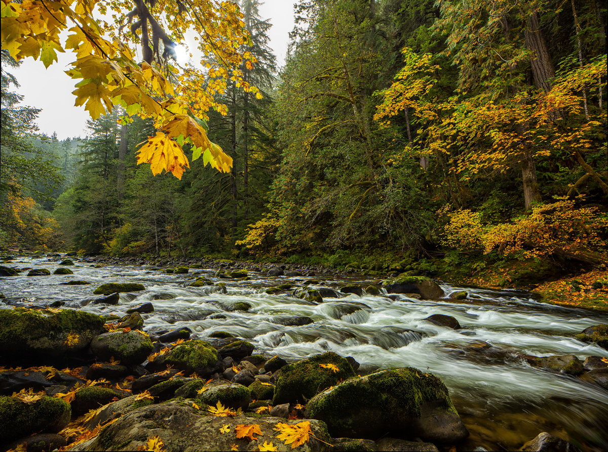 Salmon River #3