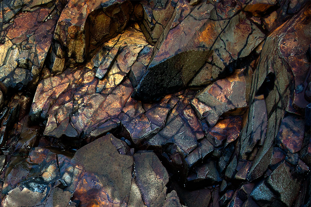 Fractures