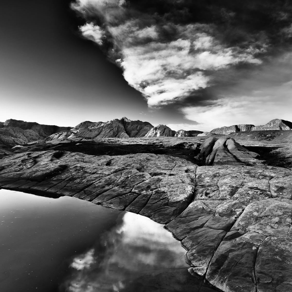 Spirit of Snow Canyon