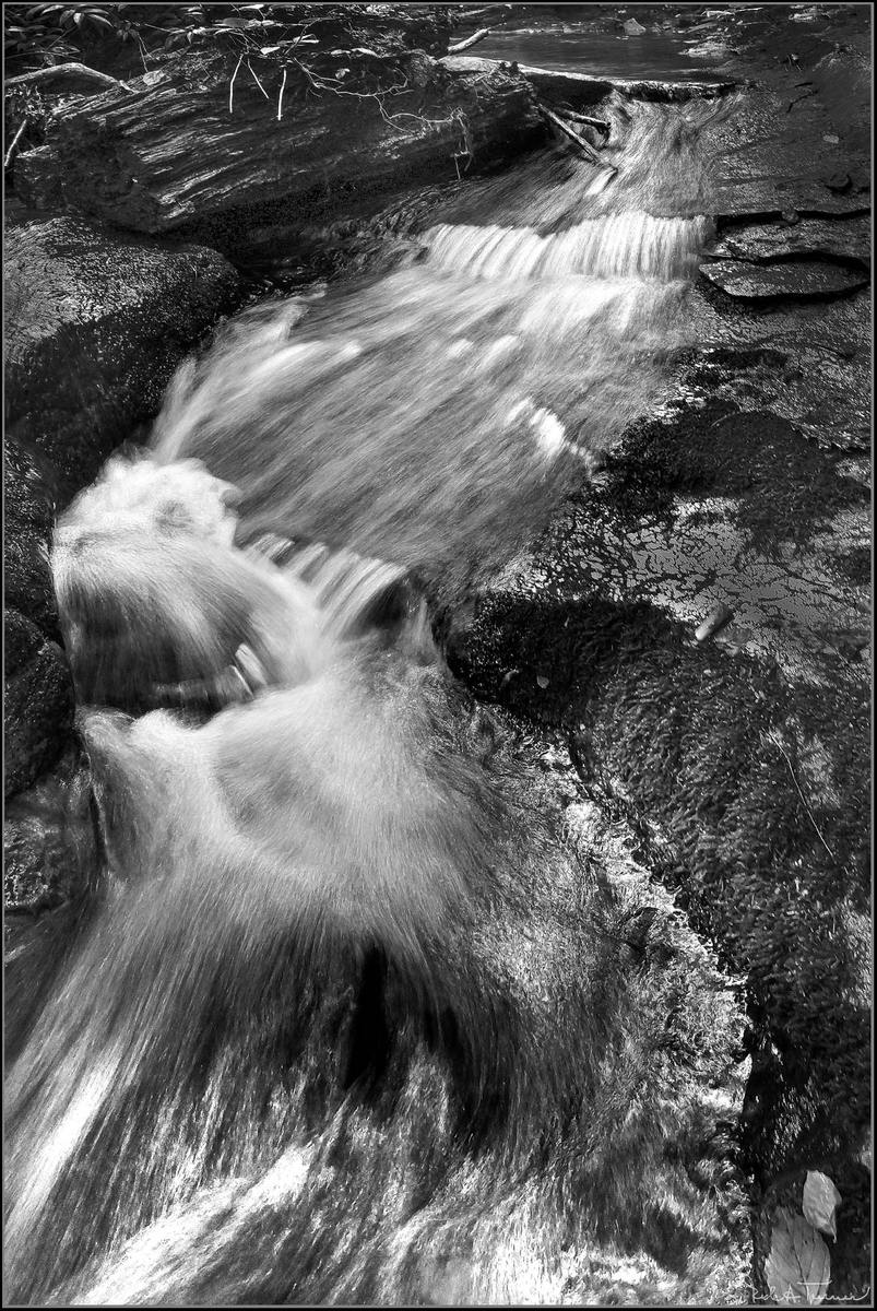 Blue Ridge Stream