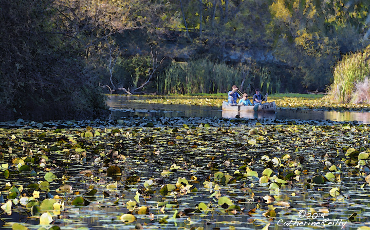 Canoe Outing