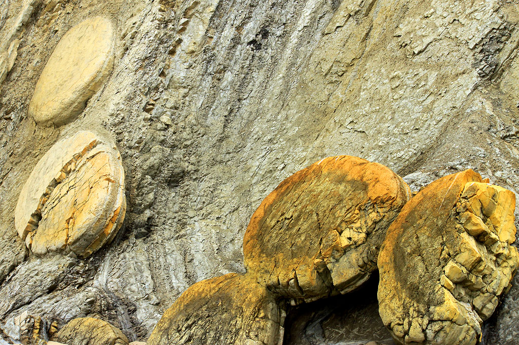 Concrete Wheels