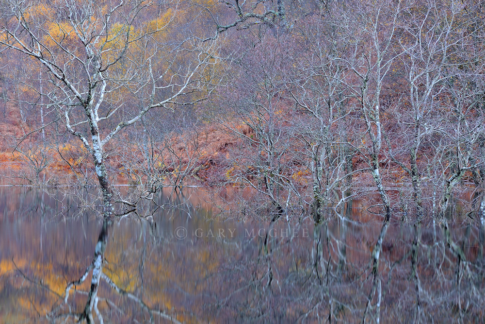 Callop River Floodwater