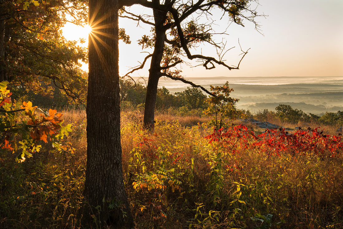 Early fall 