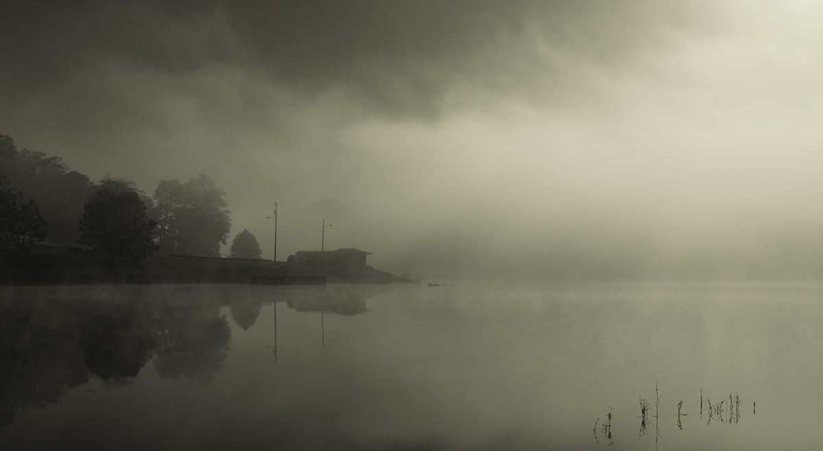 Foggy Marrowbone