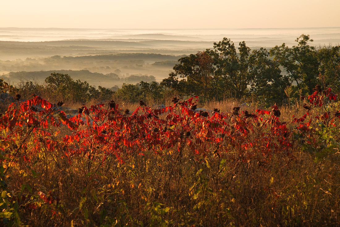 early fall 2