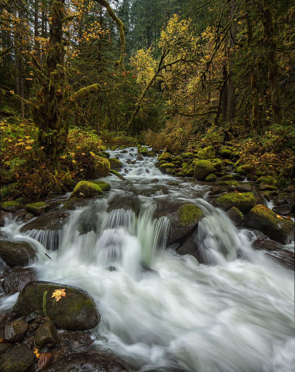 Oneonta Creek