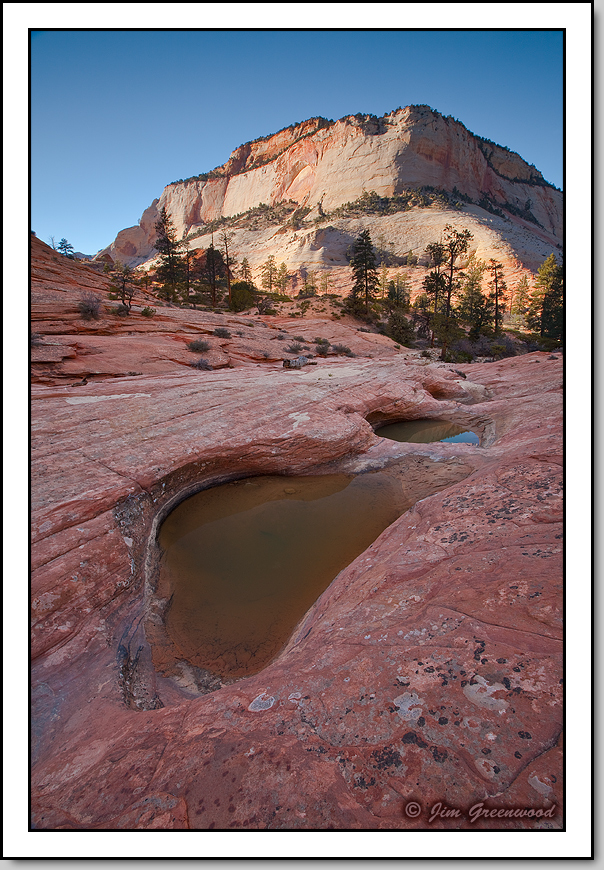 Watering Holes