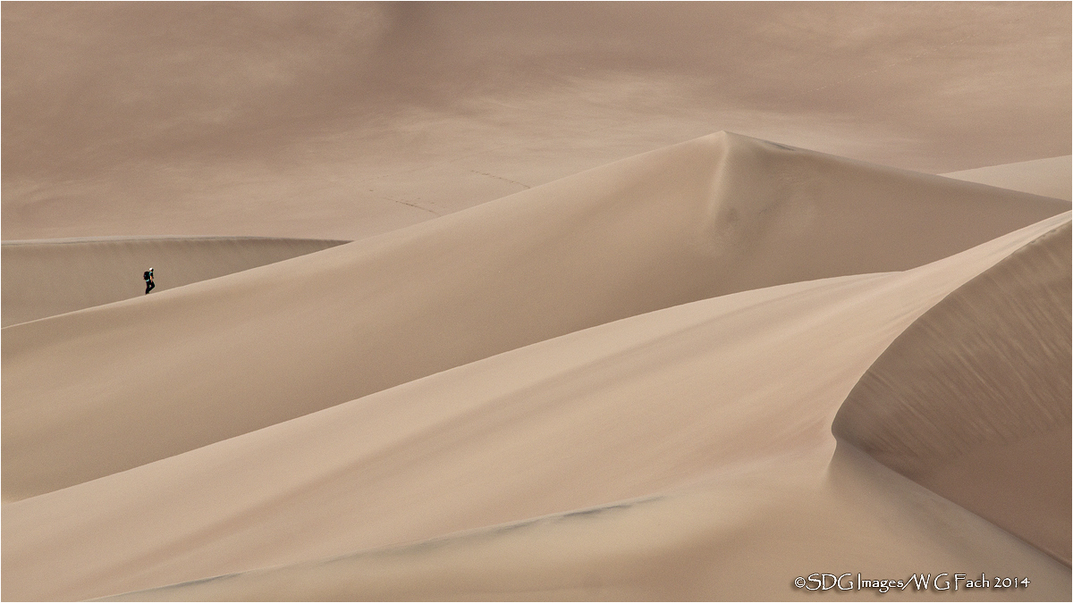 Solo Quest