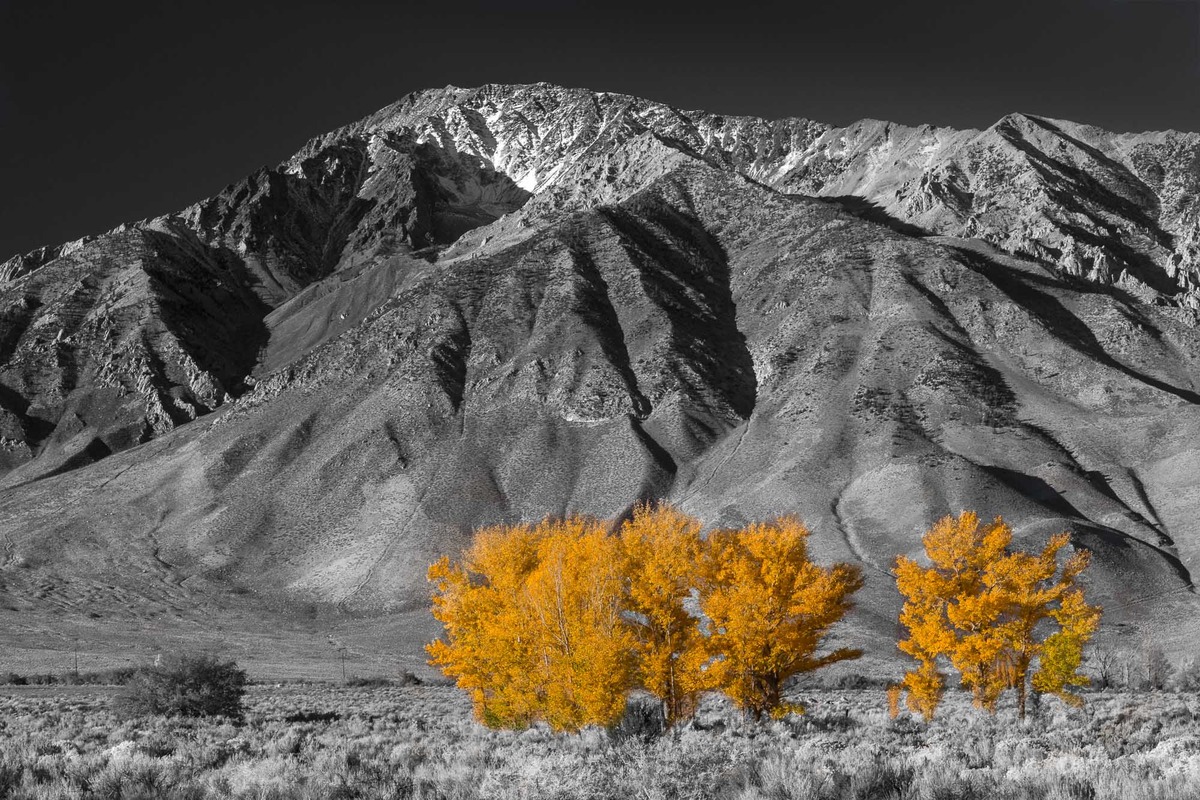 Fall Color
