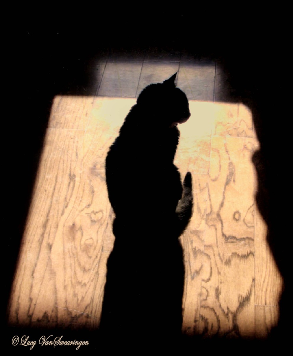 Casey's shadow