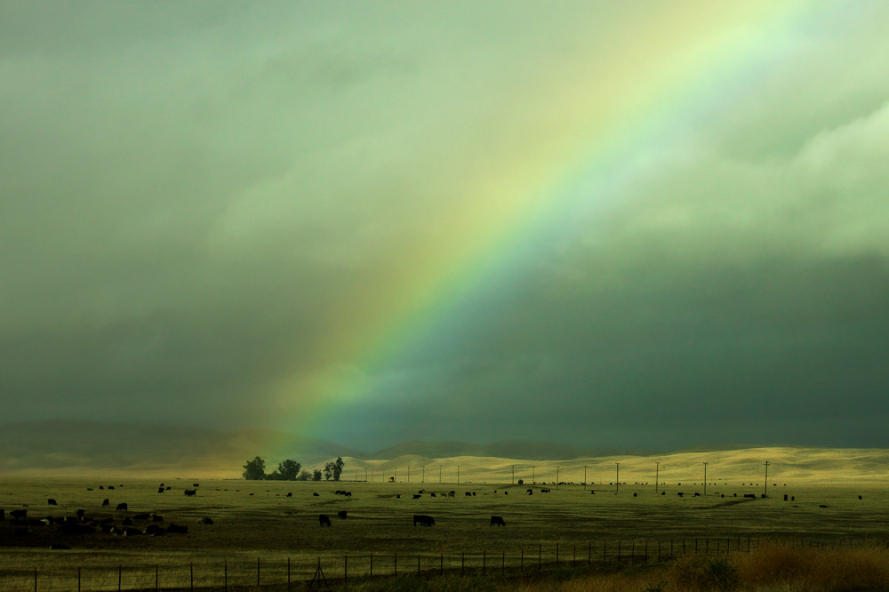 Rainbow Ranch