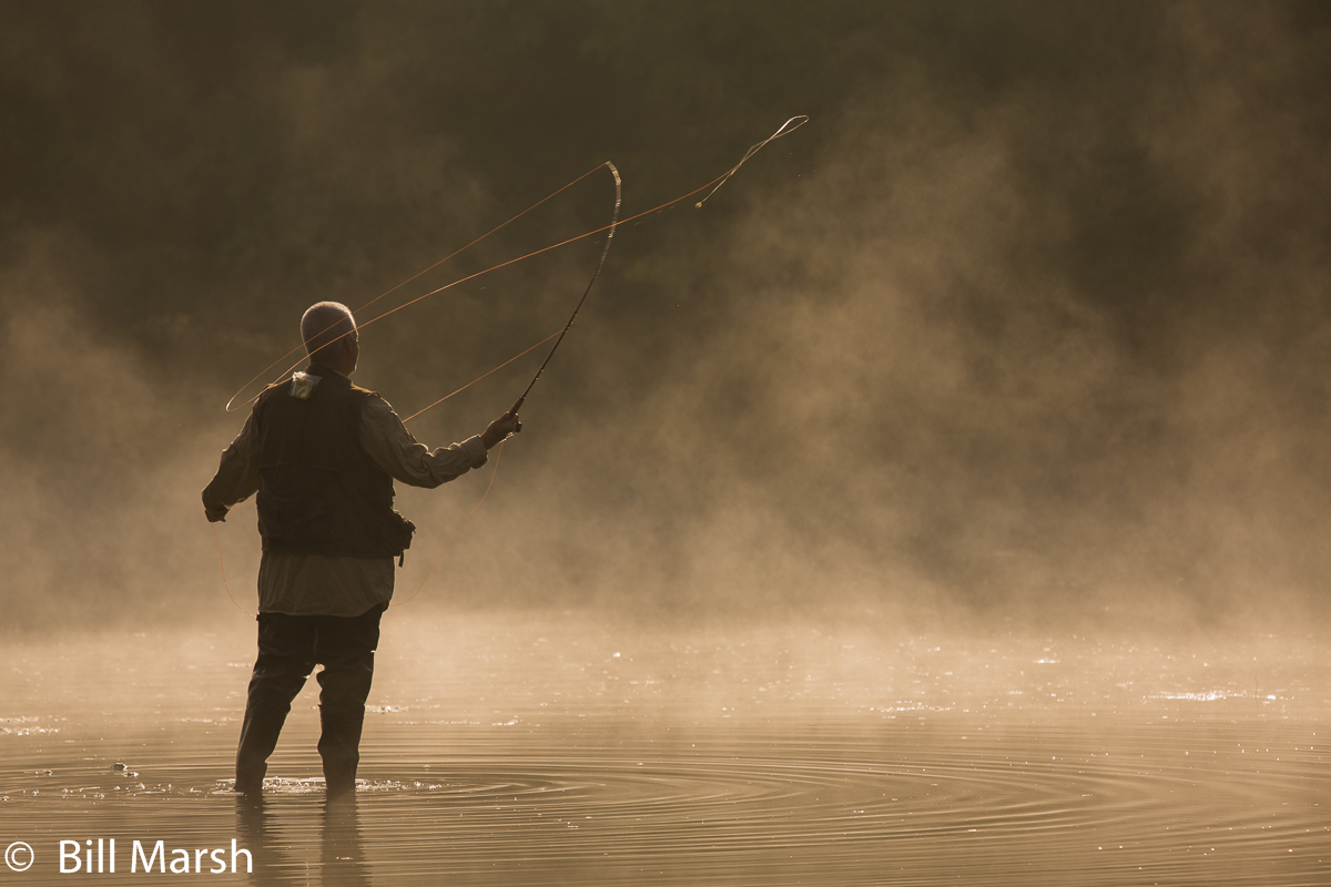 Fly Fisherman