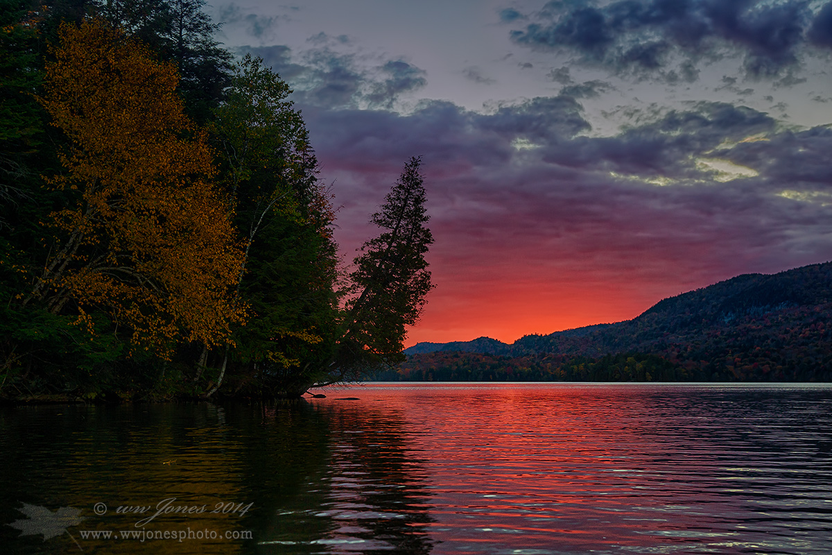 Scarlet Silence