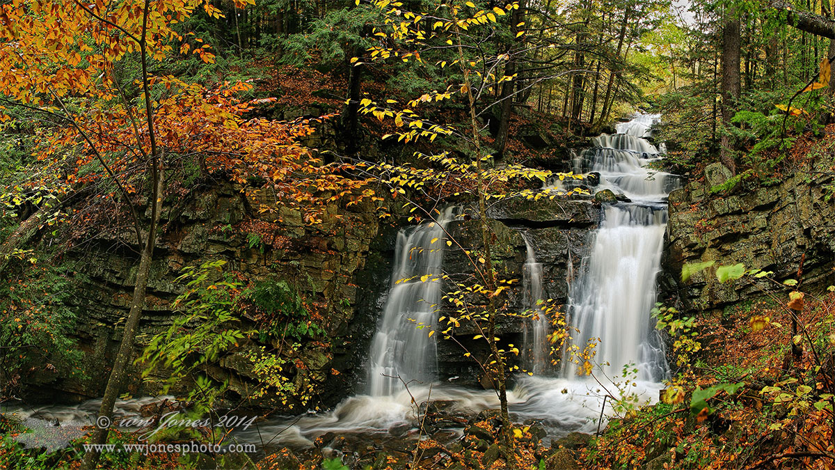 Secluded and Nearby