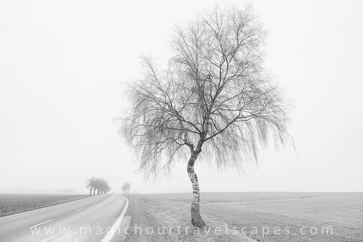 The Road to Telc