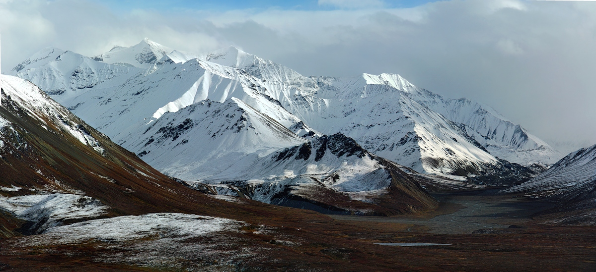 Denali Foothills