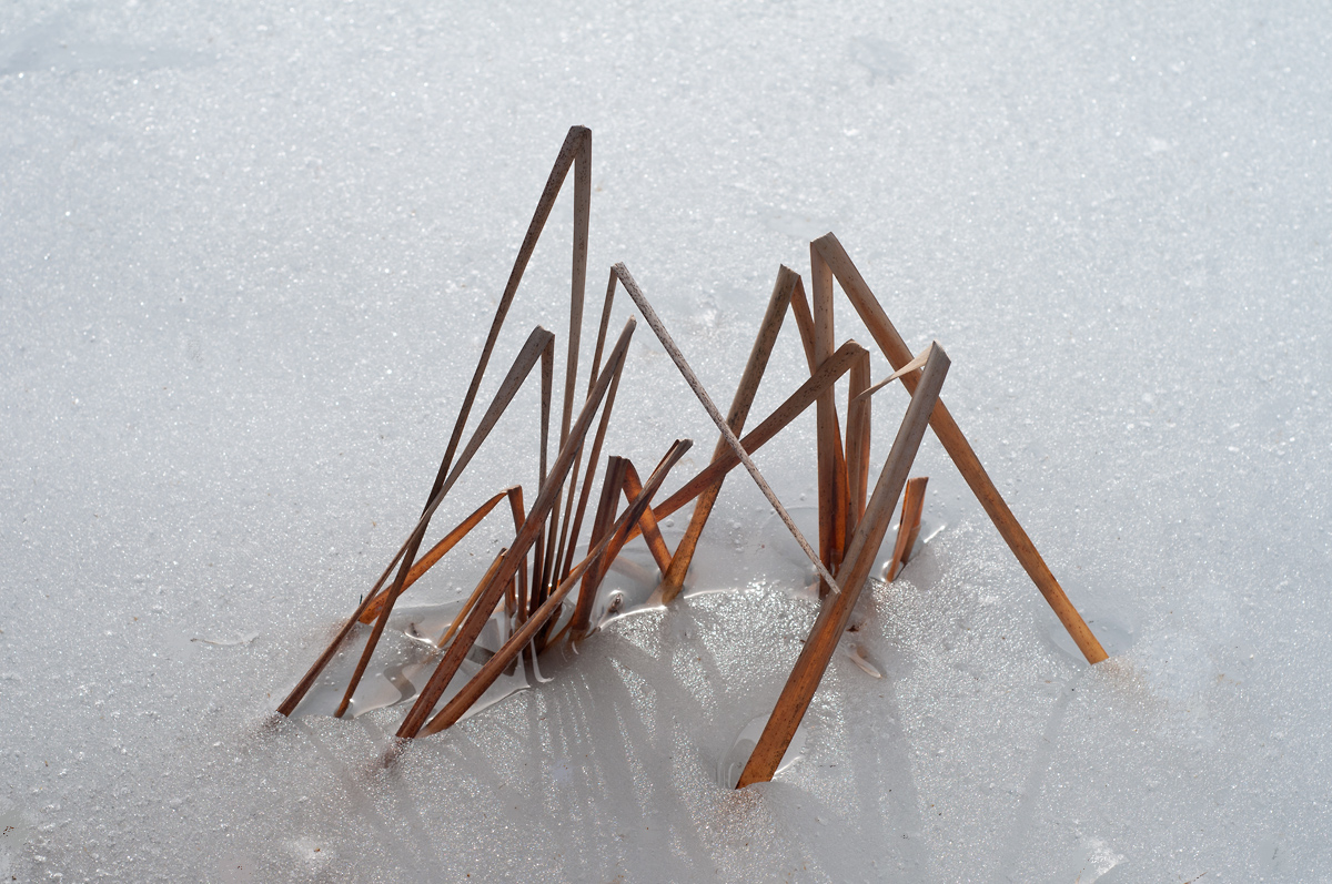  Zen  shapes on ice