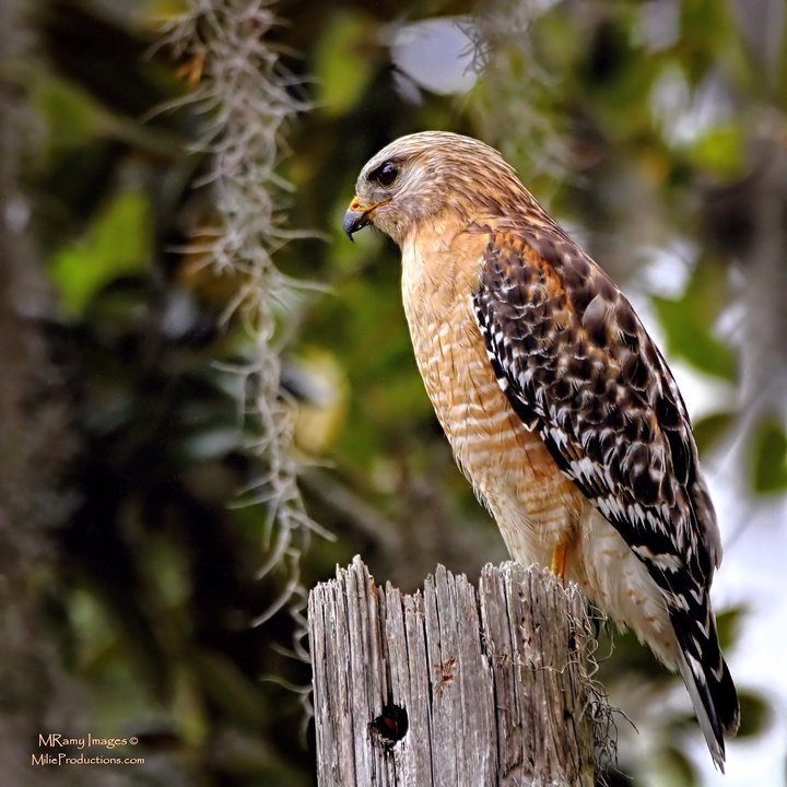 Surveying the Territory