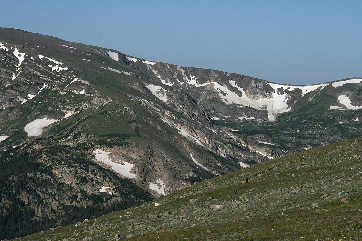 Rockies and elk WC664
