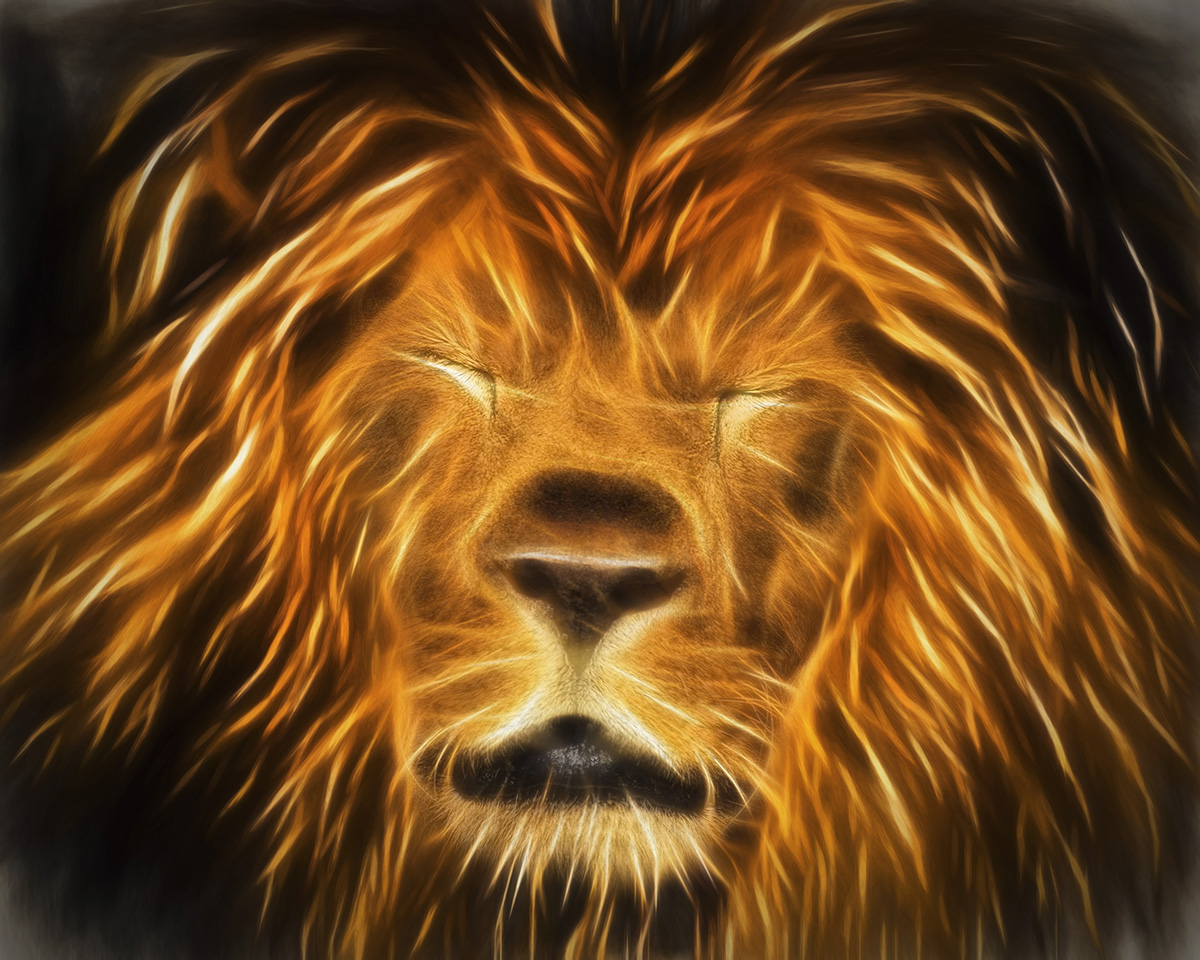 Dozing lion art